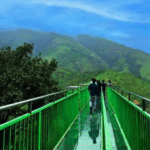 Vietnam tour