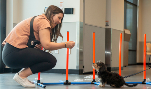 structured puppy learning programs Arizona